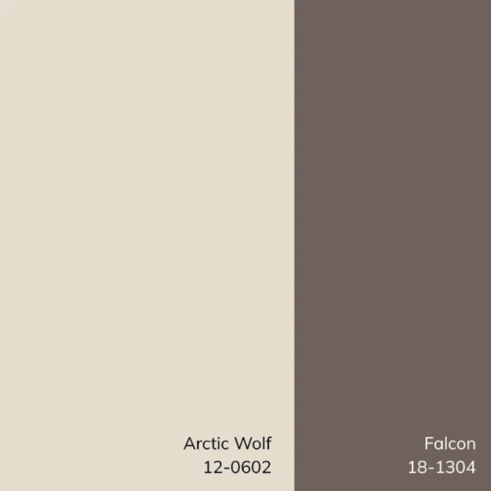 Indoor Outdoor Pillows from Wayfair with Cases and Down Pillow inserts (2 avail) - Picture 10 of 10